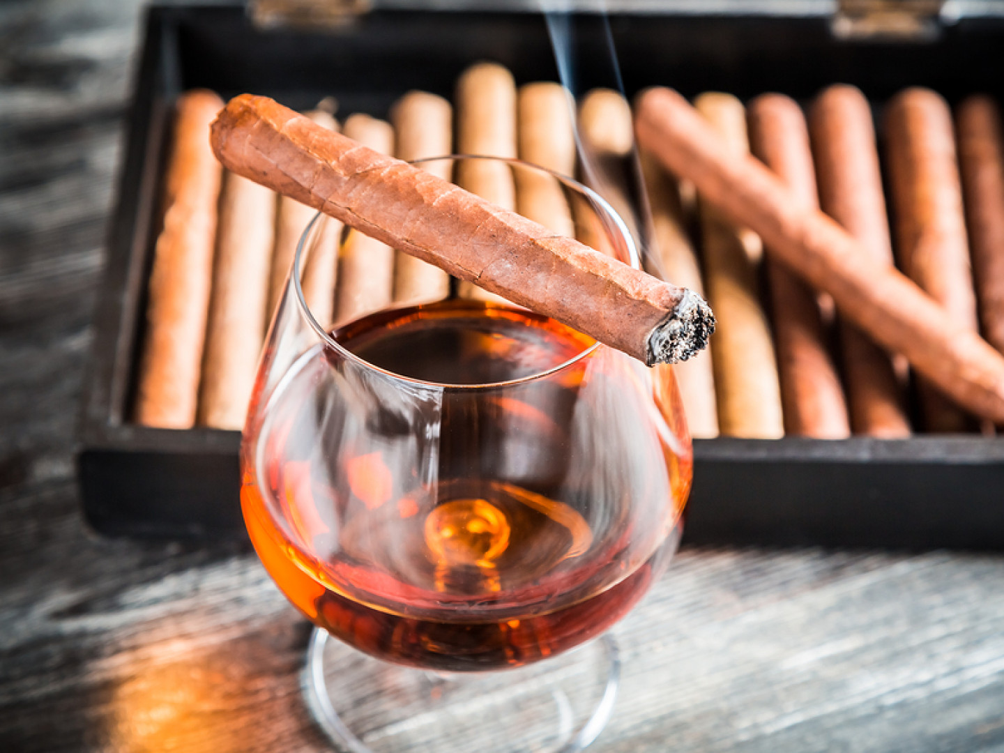 Cigar Gift Sets New Jersey Smokers Haven